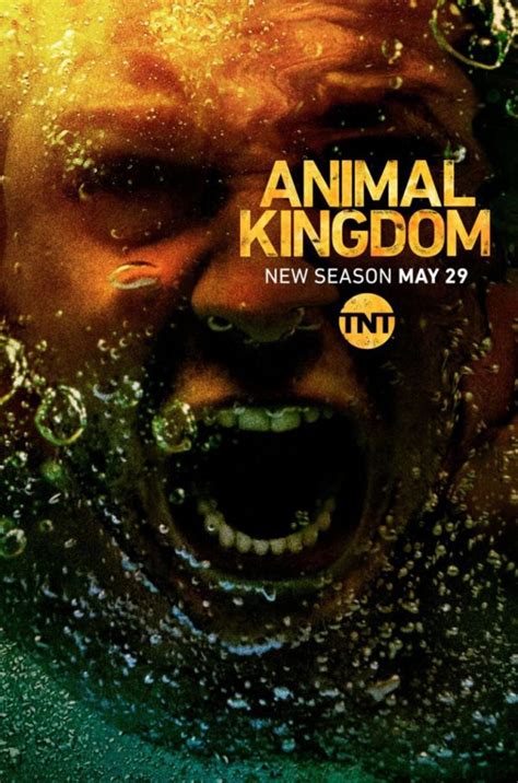 animal kingdom cast season 3|animal kingdom season 3 123movies.